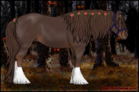 Horse Color:Liver Chestnut Tobiano 