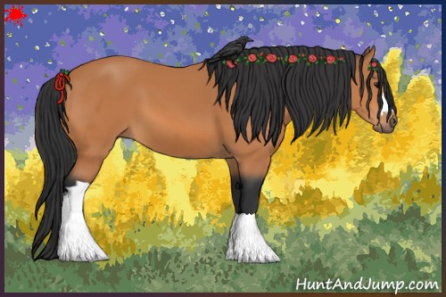 Horse Color:Bay 
