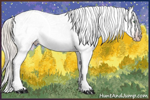 Horse Color:Gray Silver Amber Cream Champagne Roan Dun Splash Tobiano Frame Varnish Rabicano 