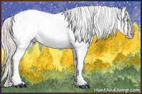 Horse Color:Gray Silver Amber Cream Champagne Roan Dun Splash Tobiano Frame Varnish Rabicano 