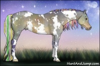 Horse Color:Painted Watercolor White Spotted Silver Brown 