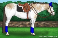 Horse Color:White Spotted Amber Cream Champagne