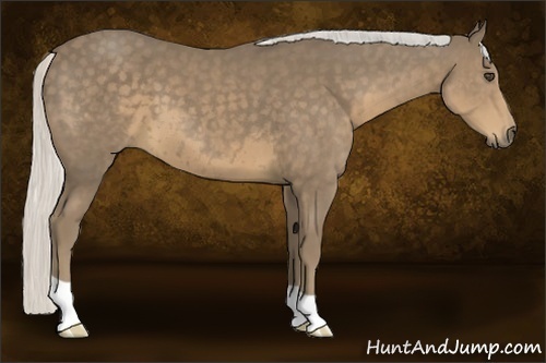 Horse Color:Silver Smoky Black 