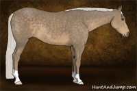 Horse Color:Silver Smoky Black 
