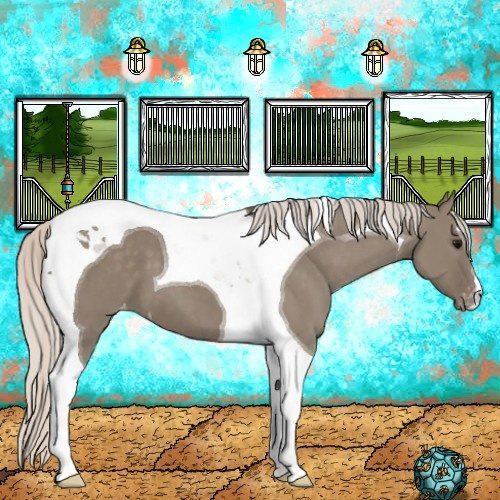 Horse Color:Silver Grullo Tobiano Appaloosa 