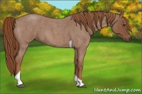 Horse Color:Red Roan Tobiano 