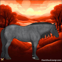 Horse Color:Blue Roan 