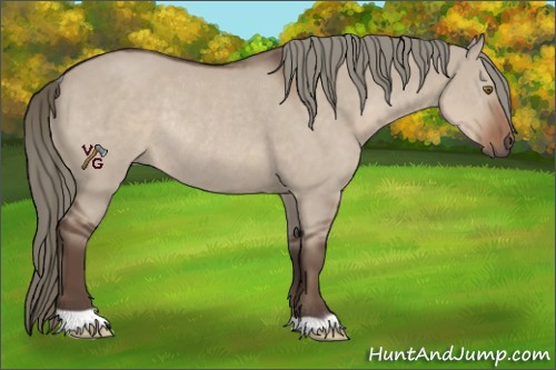 Horse Color:Liver Red Dun Mushroom Rabicano