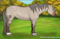 Horse Color:Liver Red Dun Mushroom Rabicano 