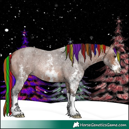 Horse Color:Painted Bay Roan Sabino 