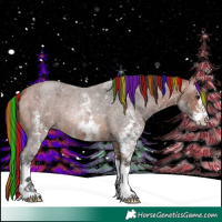 Horse Color:Painted Bay Roan Sabino 