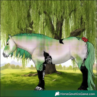 Horse Color:Void Watercolor Plaid  Brown Onyx Tobiano 