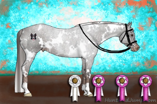 Horse Color:White Spotted Liver Chestnut Snowflake Varnish