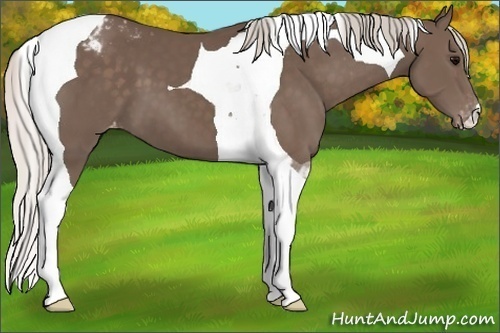 Horse Color:Silver Black Tobiano Varnish