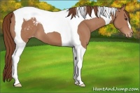 Horse Color:Chestnut Tobiano Snowcap 