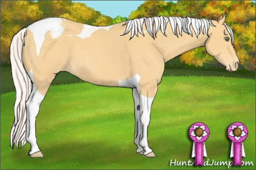 Horse Color:Silver Classic Cream Champagne Tobiano Varnish