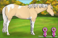 Horse Color:Silver Classic Cream Champagne Tobiano Appaloosa 