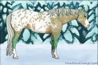 Horse Color:Watercolor Silver Bay Ice Sabino Appaloosa 