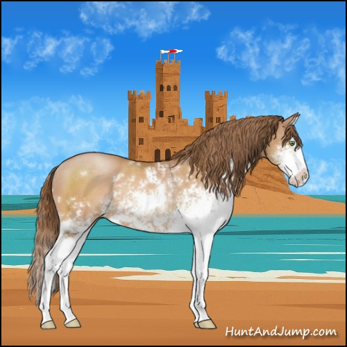 Horse Color:Brown Pearl Sabino Splash Rabicano 