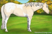 Horse Color:Silver Classic Cream Champagne Dun Tobiano Varnish