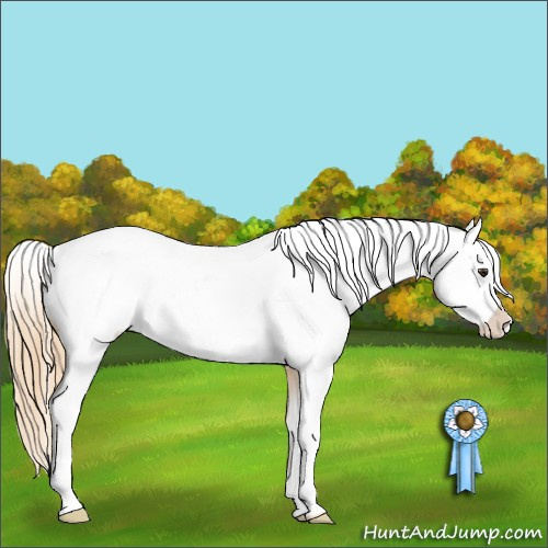 Horse Color:Chestnut Varnish 