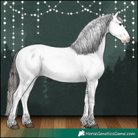 Horse Color:Liver Chestnut Appaloosa 