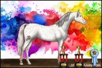 Horse Color:Silver Amber Champagne Roan Dun Appaloosa