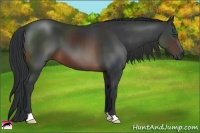 Horse Color:Brown 