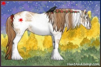 Horse Color:White Spotted Red Dun Rabicano  and White Spotted Red Dun Frame Rabicano 