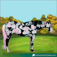 Horse Color:Watercolor White Spotted Classic Champagne Chinchilla Sabino 