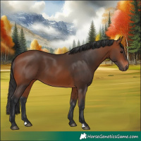 Horse Color:Bay 