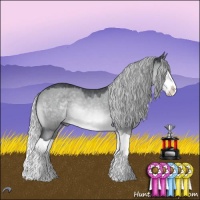 Horse Color:Silver Brown Chinchilla Dun Splash 