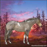 Horse Color:Chocolate Palomino Roan Tobiano 