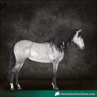 Horse Color:Platinum Buckskin Roan Dun 