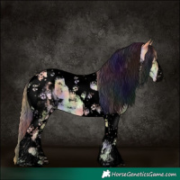 Horse Color:Void Nacre Buckskin Pearl Tobiano 