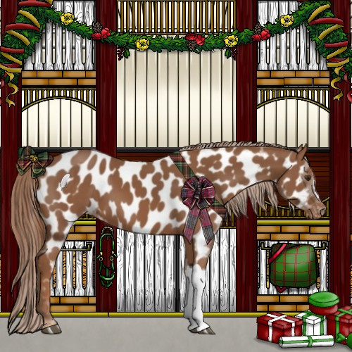 Horse Color:Chestnut Appaloosa