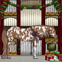 Horse Color:Chestnut Appaloosa 