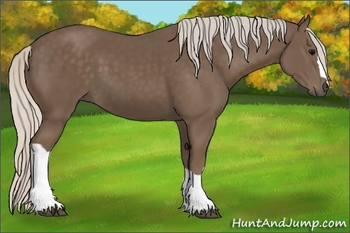 Horse Color:Silver Black 