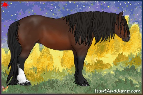 Horse Color:Gray Bay