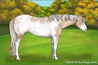 Horse Color:Chocolate Palomino Pearl Tobiano Frame  and Chocolate Palomino Pearl Tobiano Frame 
