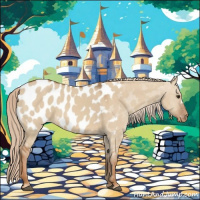 Horse Color:Red Dun Appaloosa 