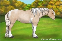 Horse Color:Silver Blue Roan Pearl Tobiano Frame 