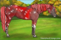 Horse Color:Painted White Spotted Silver Black Rabicano 