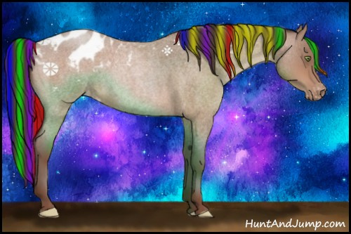 Horse Color:Painted Sable Champagne Roan Appaloosa Rabicano 