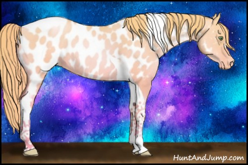 Horse Color:Watercolor Gold Champagne Dun Tobiano Appaloosa Rabicano 