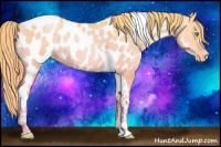 Horse Color:Watercolor Gold Champagne Dun Tobiano Appaloosa Rabicano 
