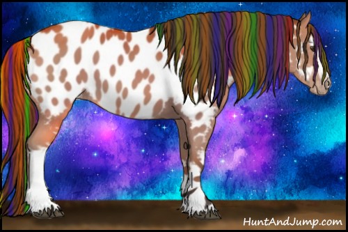 Horse Color:Painted White Spotted Bay Appaloosa 