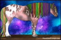 Horse Color:Painted White Spotted Liver Chestnut Appaloosa 