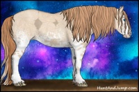 Horse Color:White Spotted Gold Champagne Ice Dun Splash 