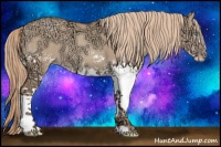 Horse Color:White Spotted Gold Champagne Ice Dun Splash Rabicano 